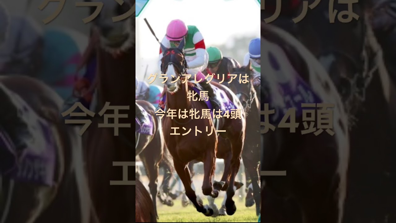 マイルチャンピオンシップ2024 サイン馬券予想2 #g1 #競馬  #グランアレグリア #ルメール #マイルcs