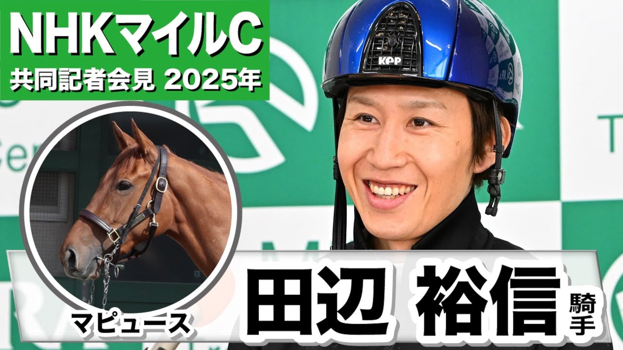 【NHKマイルC2025】マピュース・田辺裕信騎手「相手なりに喰らいつく」「東京の1600mはベストな舞台」《JRA共同会見》