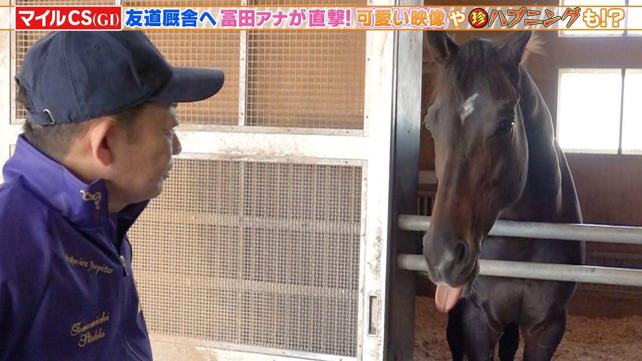 【マイルCS】友道厩舎に直撃！（珍）ハプニングも！ジュンブロッサム ワールドエース産駒初のGI制覇へ