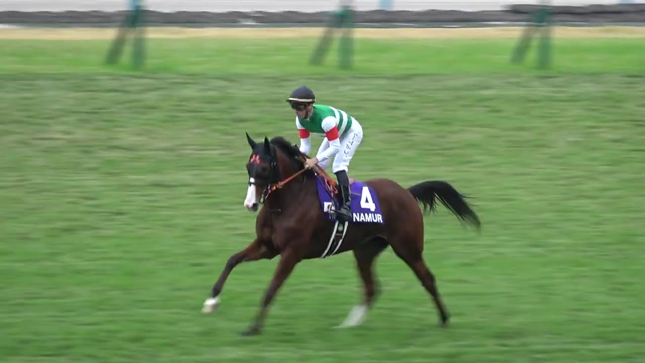 【現地】2024 G1 マイルチャンピオンシップ 本馬場入場【京都競馬場】