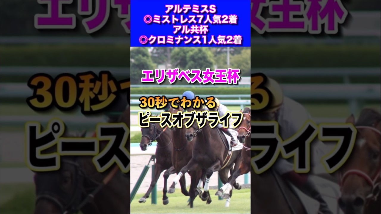 【エリザベス女王杯2024】30秒でわかるピースオブザライフ