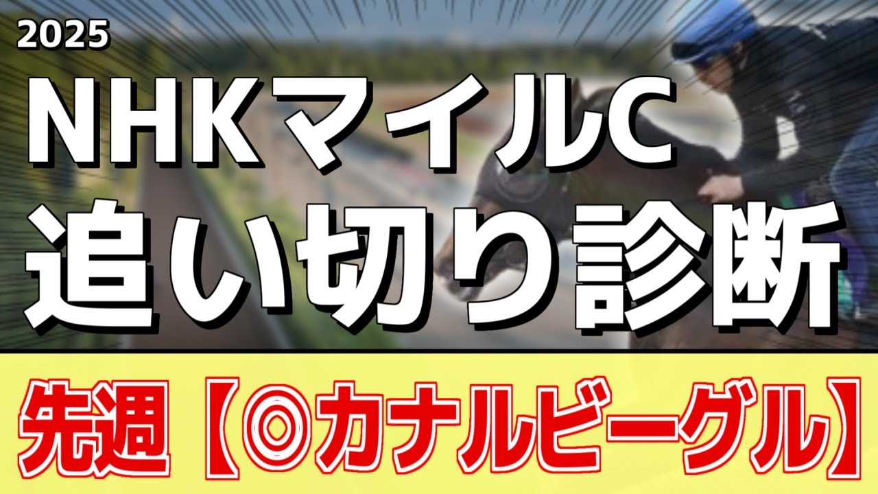 追い切り徹底解説！【NHKマイルカップ2025】アドマイヤズーム、イミグラントソングなどの状態はどうか？調教S評価は2頭！