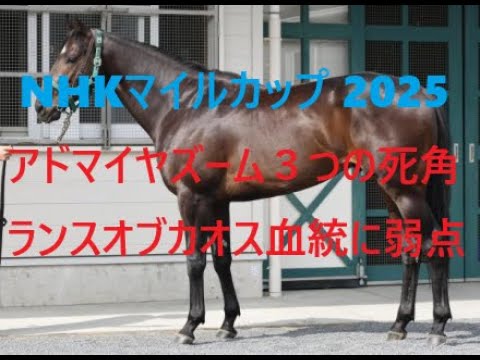 NHKマイルカップ 2025 アドマイヤズーム３つの死角 ランスオブカオスはG１を勝てない血統