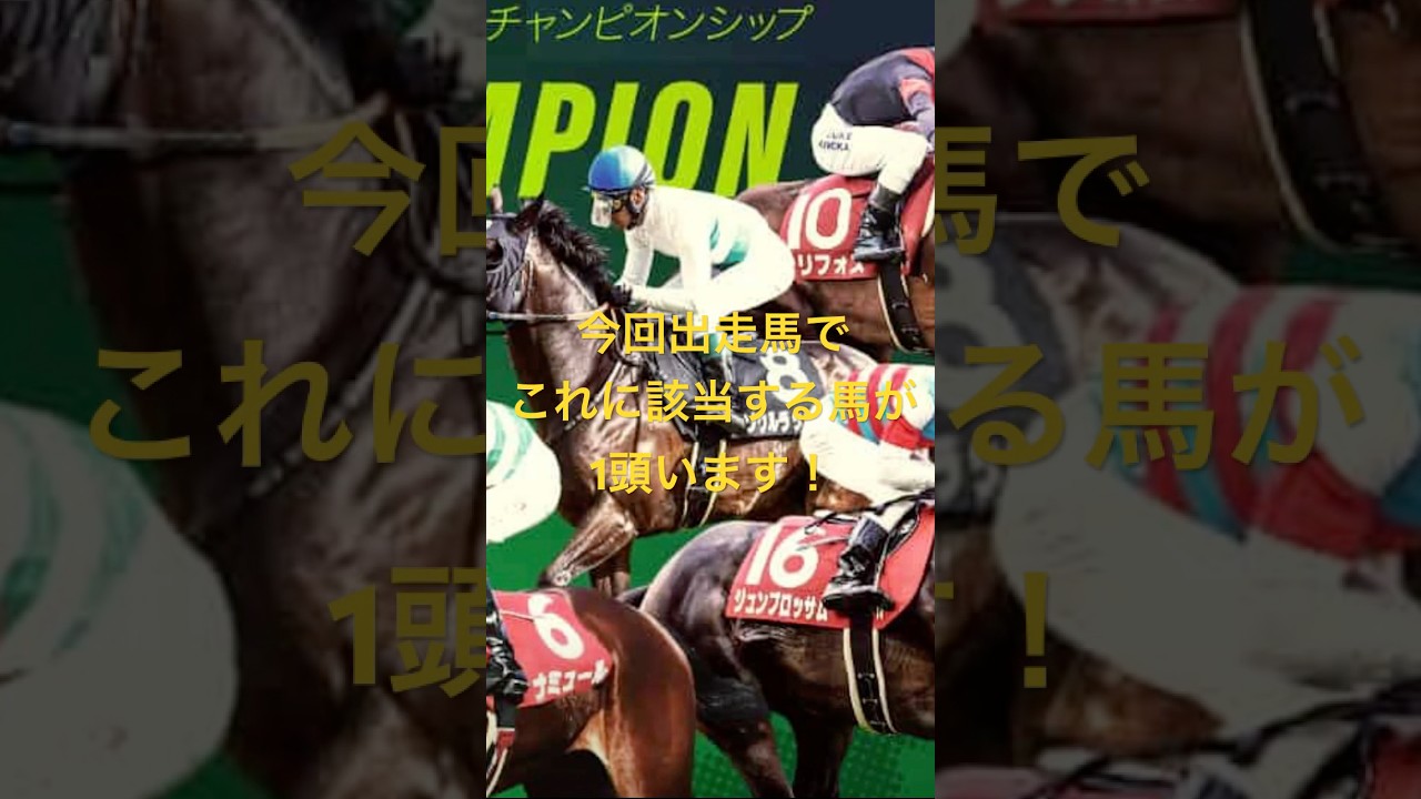 マイルチャンピオンシップ2024 サイン馬券予想④ #ナミュール #マイルcs   #大穴#g1 #競馬