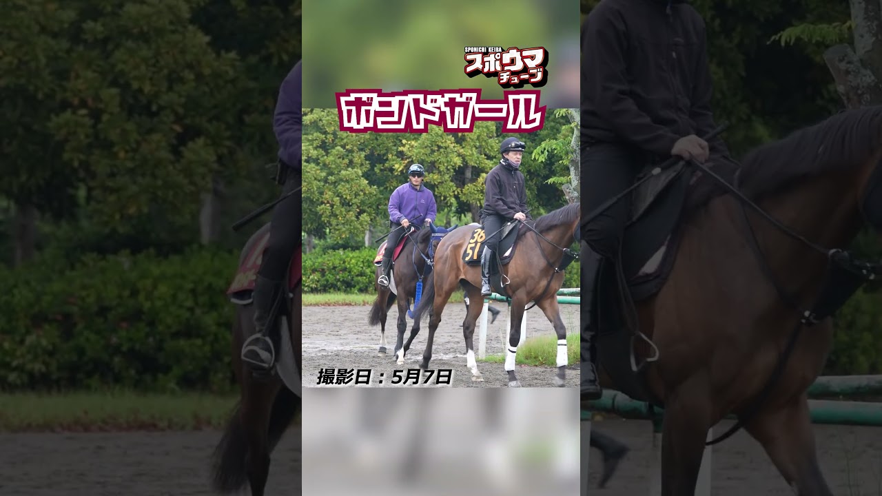 【ヴィクトリアマイル・出走予定】ボンドガール 美浦での様子 #shorts