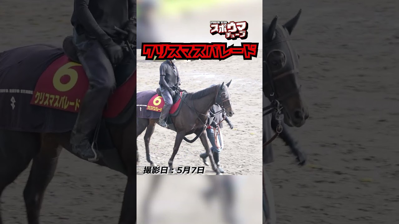 【ヴィクトリアマイル・出走予定】クリスマスパレード 美浦での様子 #shorts