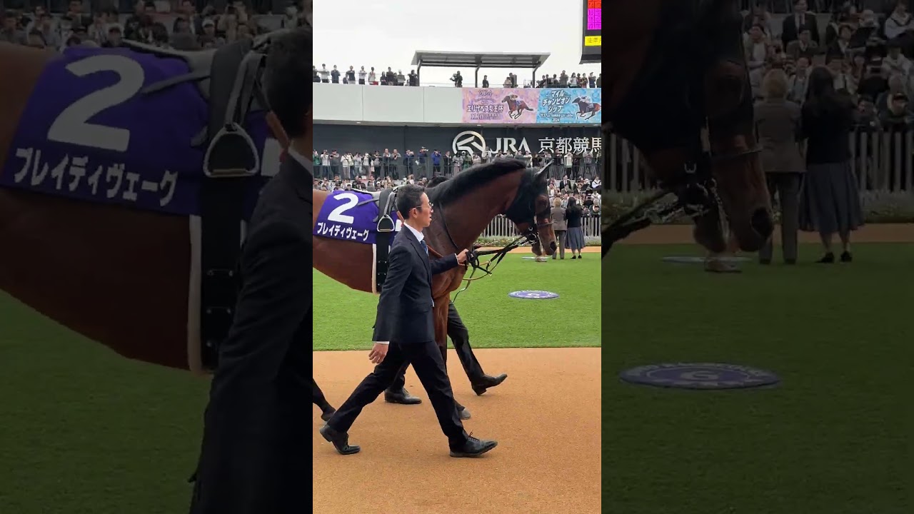 ブレイディヴェーグ🐴3歳でエリザベス女王杯制したロードカナロア産駒の牝馬がマイルチャンピオンシップ出走