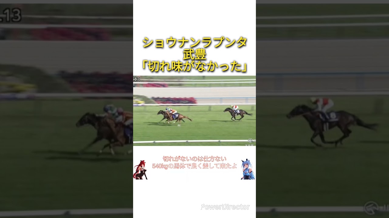「天皇賞春2025」ショウナンラプンタ武豊「脚は使っているけど、そこまでの切れ味がなかった」　#競馬