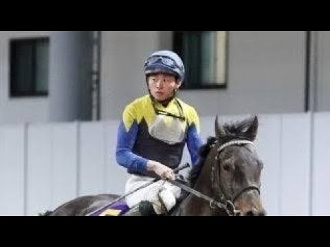 【かしわ記念】４角で競走中止のポタジェは右前肢ハ行の診断　２２年大阪杯の覇者