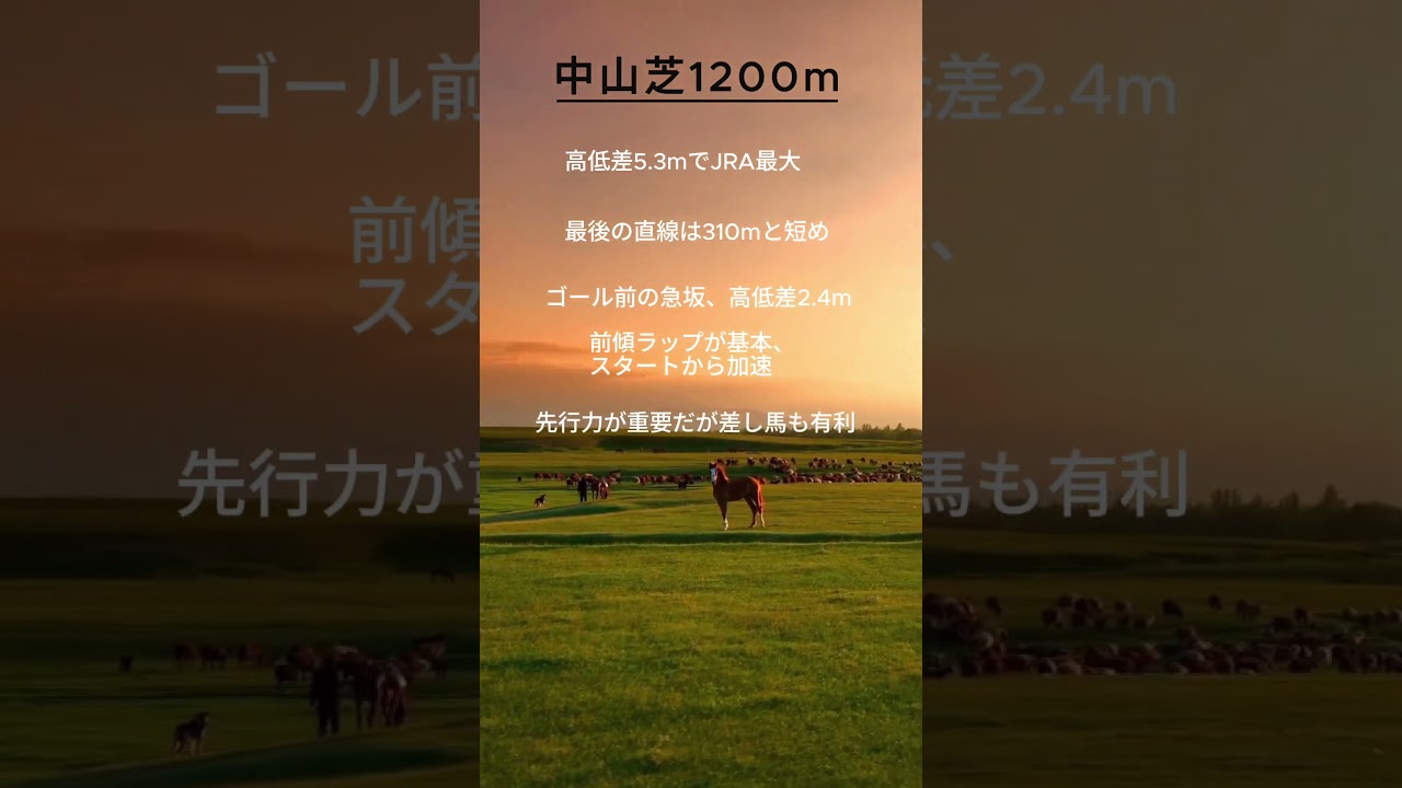 【競馬豆知識】スプリンターズS 中山競馬場芝1200mコースの特徴を解説！ #競馬 #中山競馬場 #競馬予想 #血統 #傾向 #スプリンターズS #g1  #血統予想 #傾向