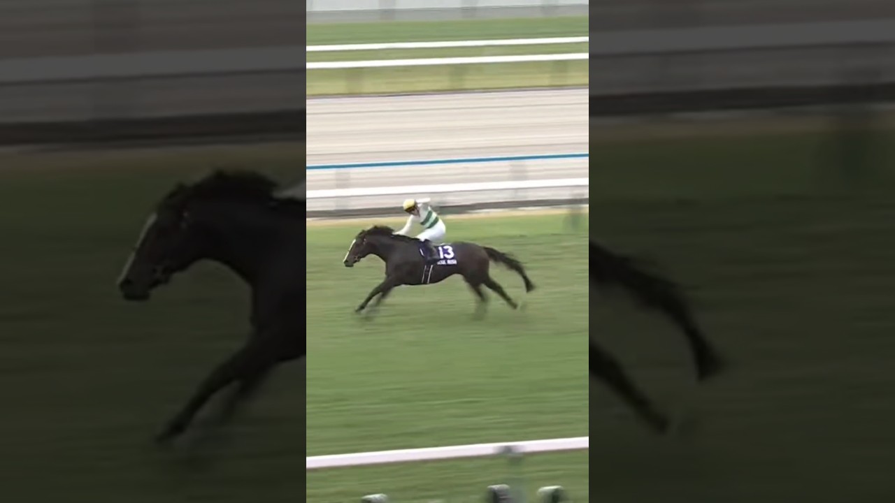 #shorts 2024 マイルCS #ソウルラッシュ #団野大成