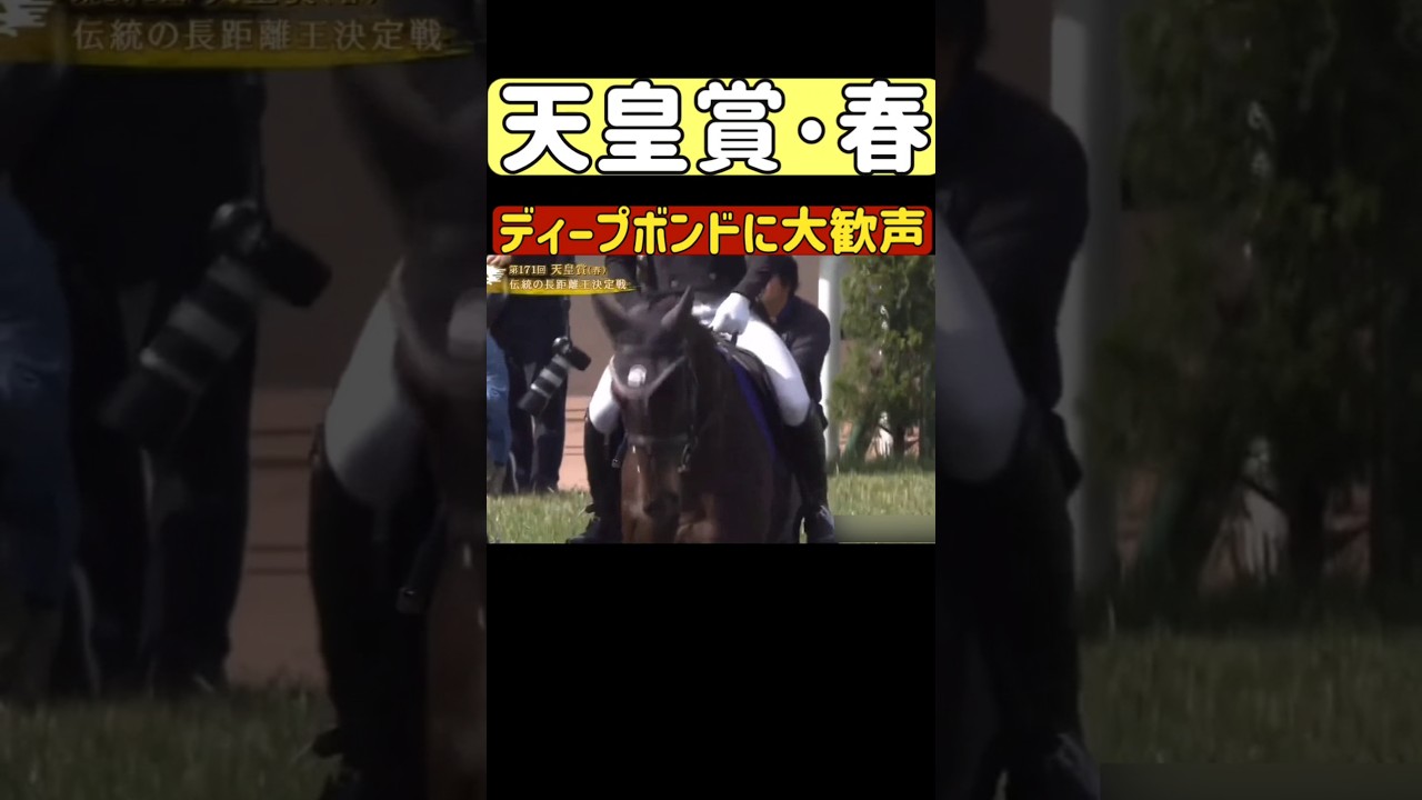 天皇賞春でサプライズ ディープボンドが復活 誘導馬 京都競馬ファンが大歓声