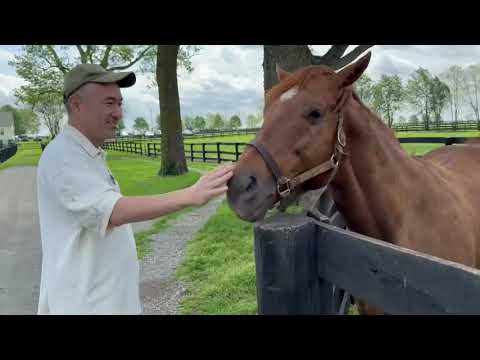 🇺🇸ケンタッキーダービー馬🏇 I LL HAVE ANOTHER アイルハヴアナザー号 馬トーク！ヤマさんが行く！