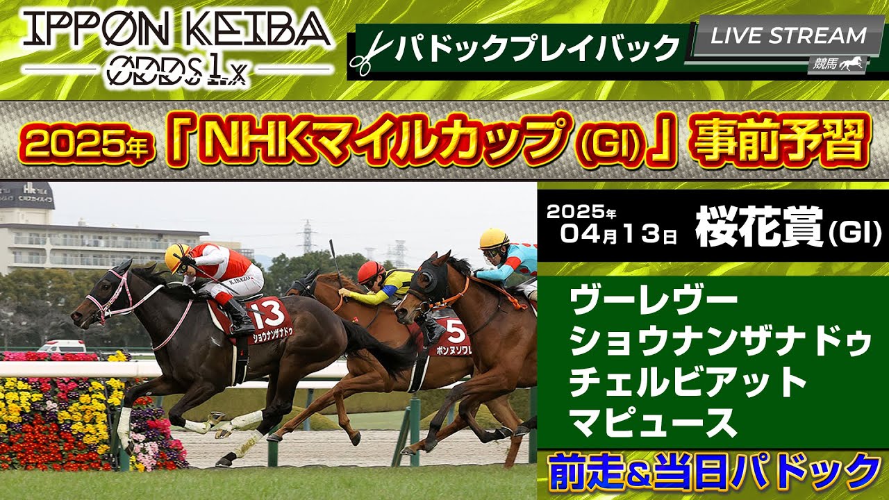 【NHKマイルカップ事前チェック】桜花賞組パドック4頭を総チェック！前走映像で本番の狙い馬を探せ！【IPPON競馬】