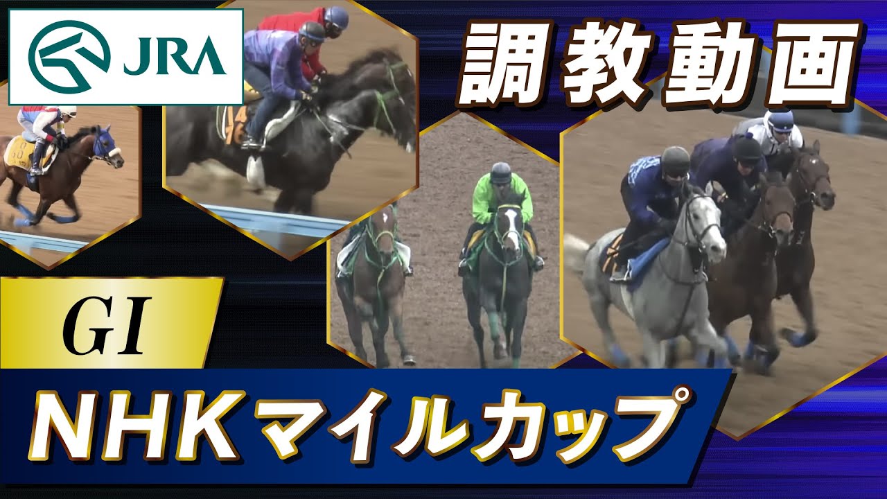 【調教動画】2025年 NHKマイルカップ｜JRA公式