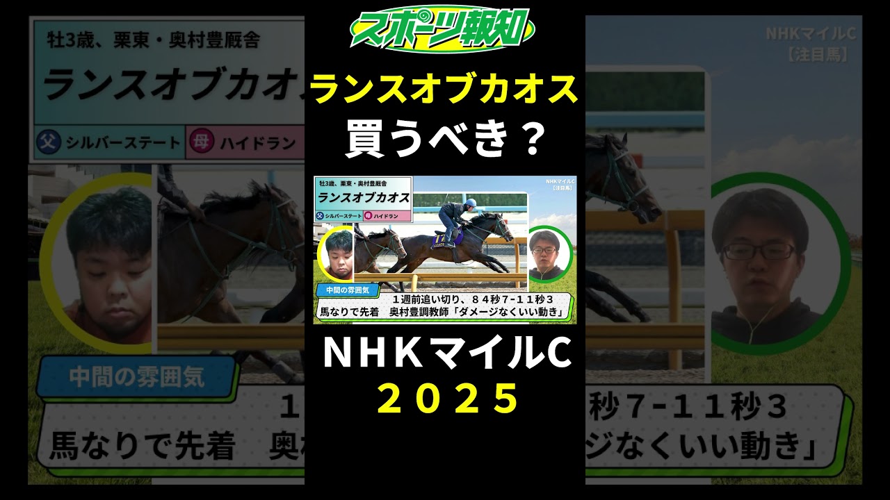 【NHKマイルカップ2025】ランスオブカオスは買うべき？追い切り時の様子、調教師の話など解説