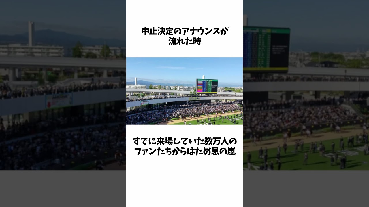 【競馬】台風と菊花賞の因縁とは？？#shorts