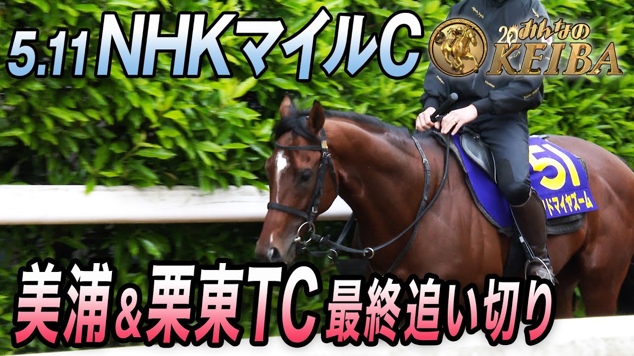 【2025 NHKマイルC・GⅠ】3歳マイル王決定戦　最終追い切り