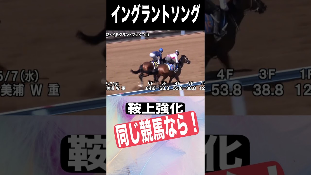 NHKマイルカップ2025　元厩務員　#nhkマイルカップ