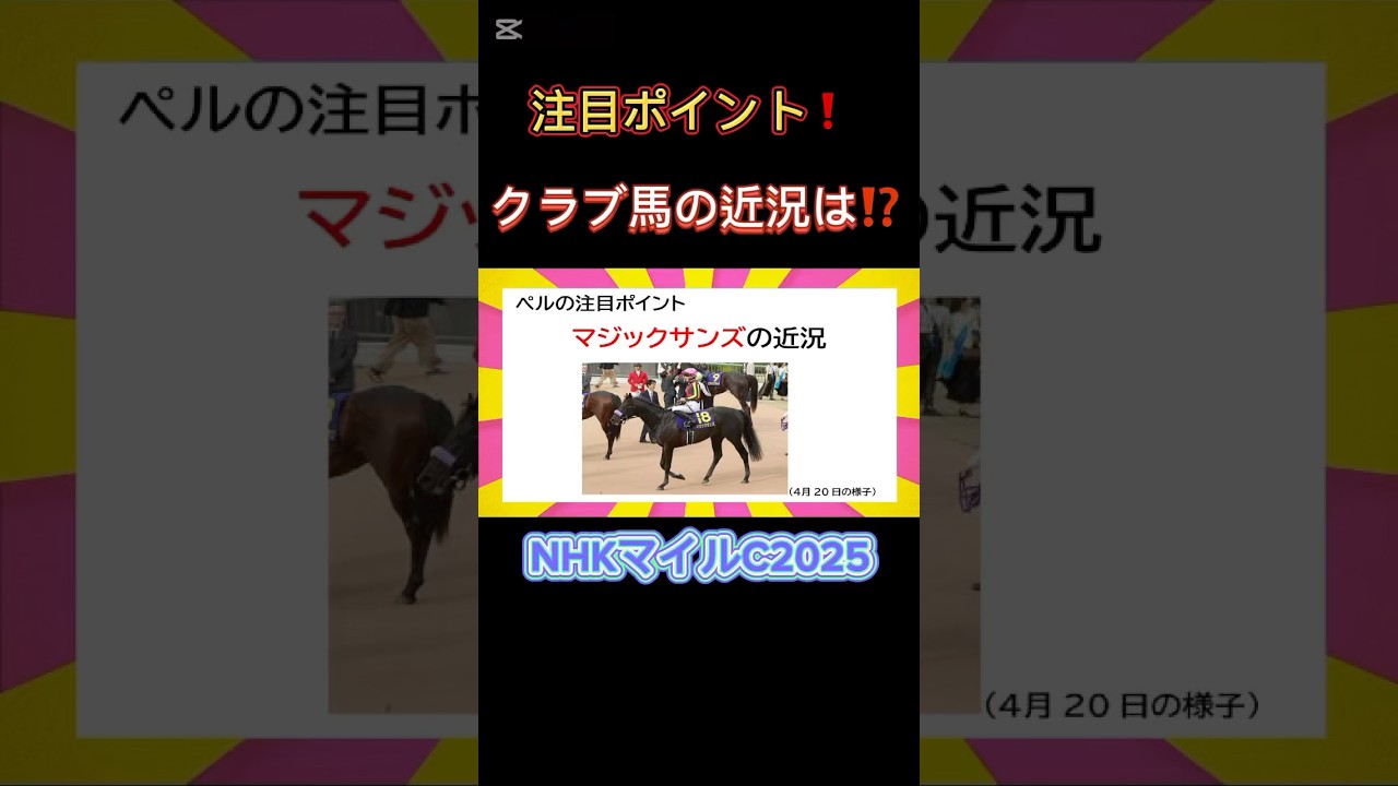 なぜNHKマイルに⁉️あのクラブ馬の近況は⁉️#NHKマイルカップ2025 #競馬 #マジックサンズ