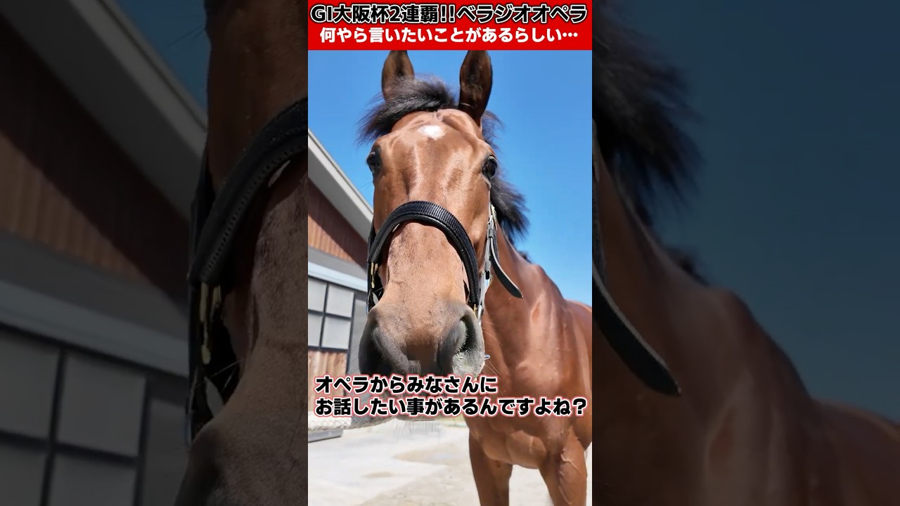 大阪杯2連覇「ベラジオオペラ」から何やら話たい事があるらしい…【ベラジオch】 #ベラジオオペラ #宝塚記念 #宝塚記念ファン投票