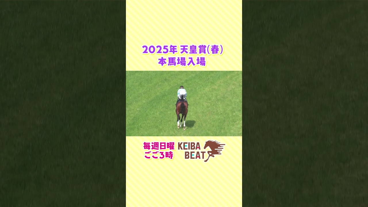 2025年 天皇賞(春) 本馬場入場 前半 #競馬 #天皇賞春 #本馬場入場