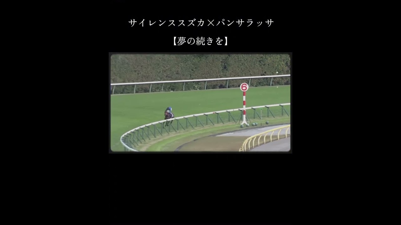 サイレンススズカ×パンサラッサ　【夢の続きを】　　#サイレンススズカ #パンサラッサ #天皇賞秋 #歌詞動画