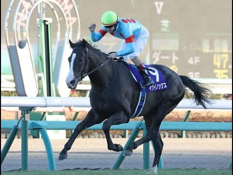 2025 NHKマイルカップ 同時視聴