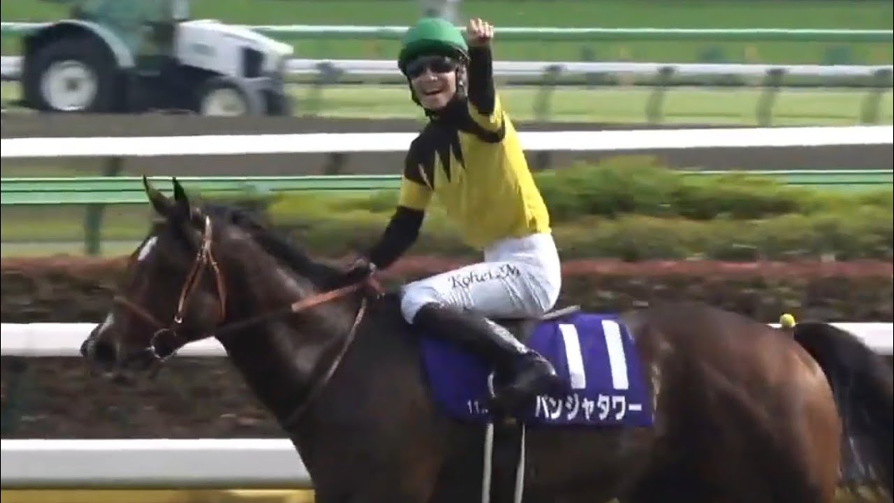 NHKマイルカップ 1着パンジャタワー号（松山弘平騎手）2025年5月11日（日）東京競馬場