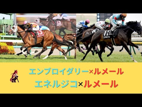 エネルジコ✕ルメール日本ダービーへ＆エンブロイダリー✕ルメールオークスへ