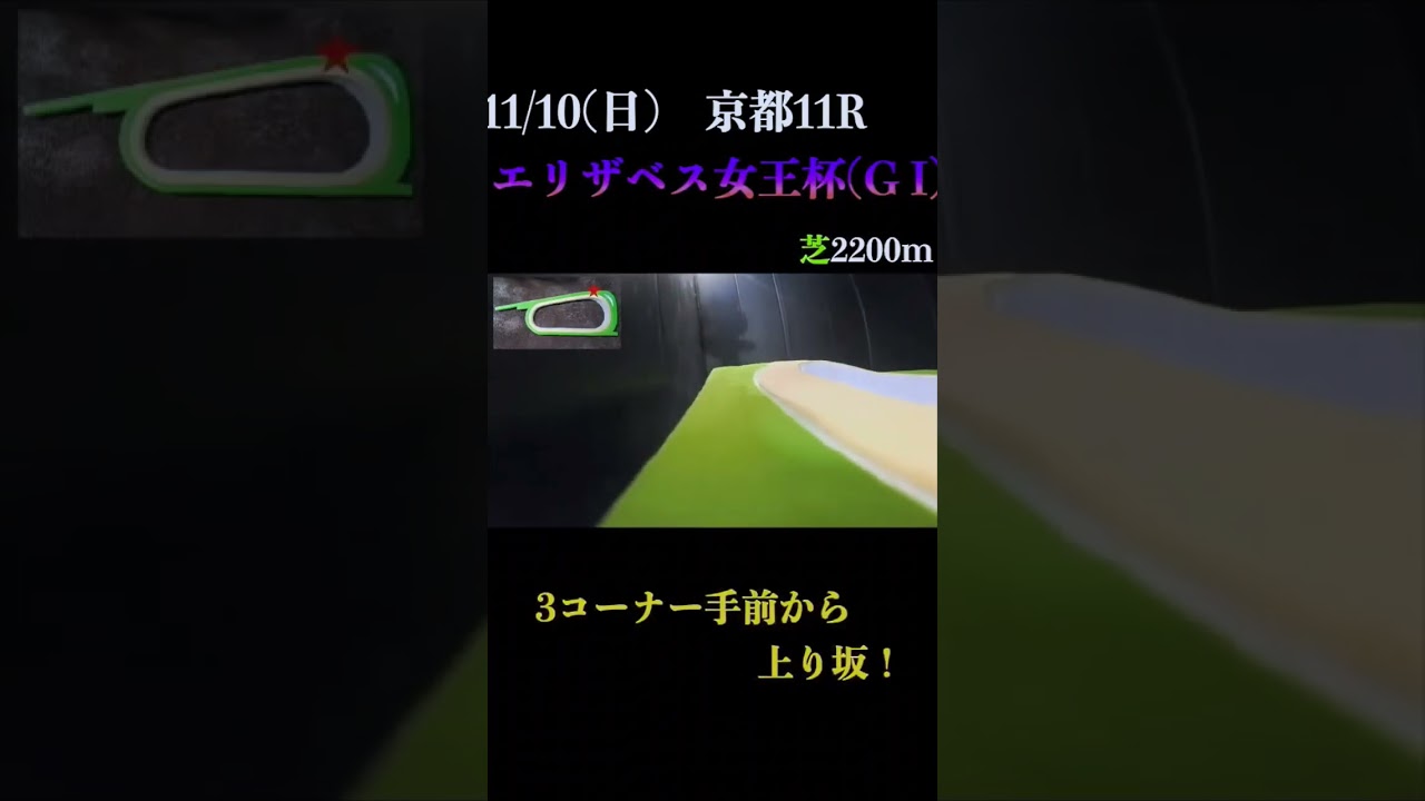 【買っちゃえばいいじゃん】エリザベス女王杯(ＧⅠ) 2024 #競馬予想 #win5