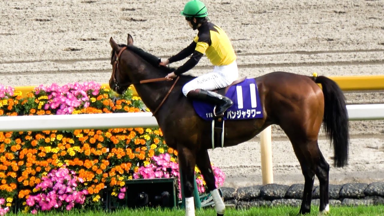 【NHKマイルカップ2025】か、可愛いパンジャタワー ウイニングランでゴール板近くの花にみとれて動かない 現地映像