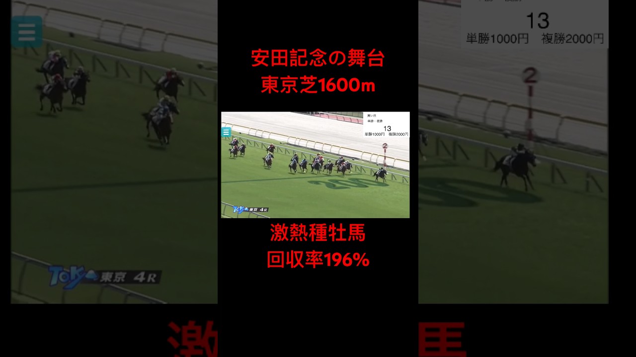 安田記念の舞台‼️東京芝マイル激熱種牡馬　#競馬 #安田記念 #ウマ娘 #競馬検証 #東京競馬場