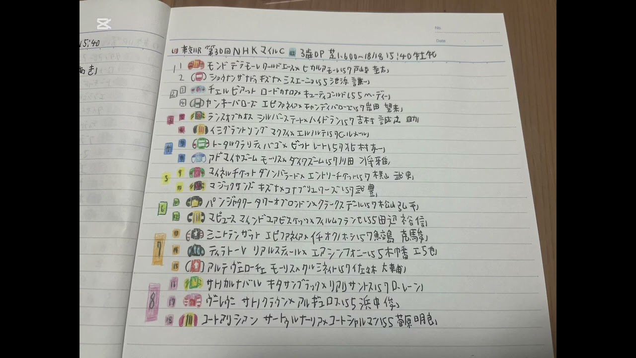 【競馬実況動画2025】第30回NHKマイルカップ パンジャタワー（松山弘平）