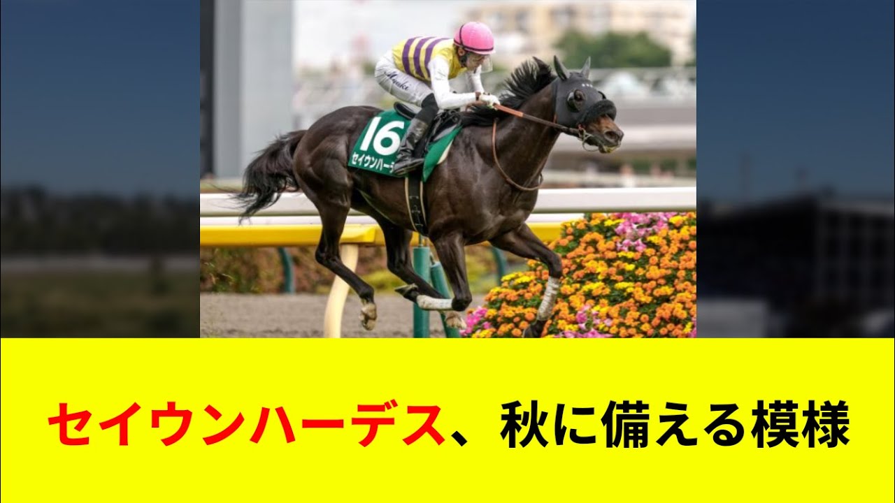 セイウンハーデス、秋に備える模様