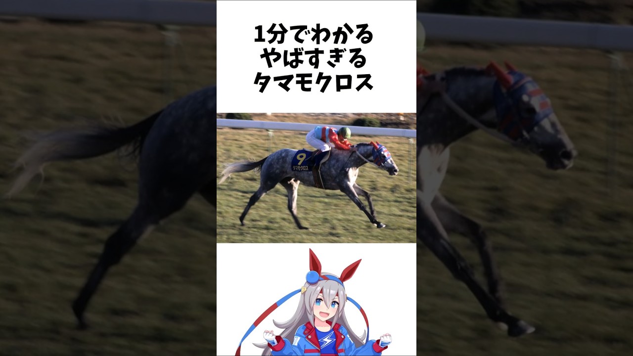 【1分でわかる】やばすぎるタマモクロス　#shorts #競馬 #ウマ娘　#タマモクロス　