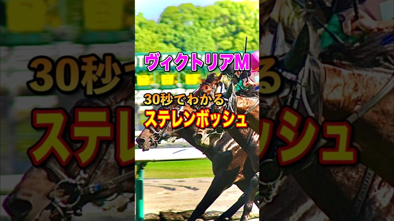 【ヴィクトリアマイル2025】30秒でわかるステレンボッシュ