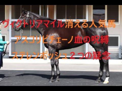 ヴィクトリアマイル 消える４歳人気馬 アスコリピチェーノ血の呪縛 ステレンボッシュ２つの疑念