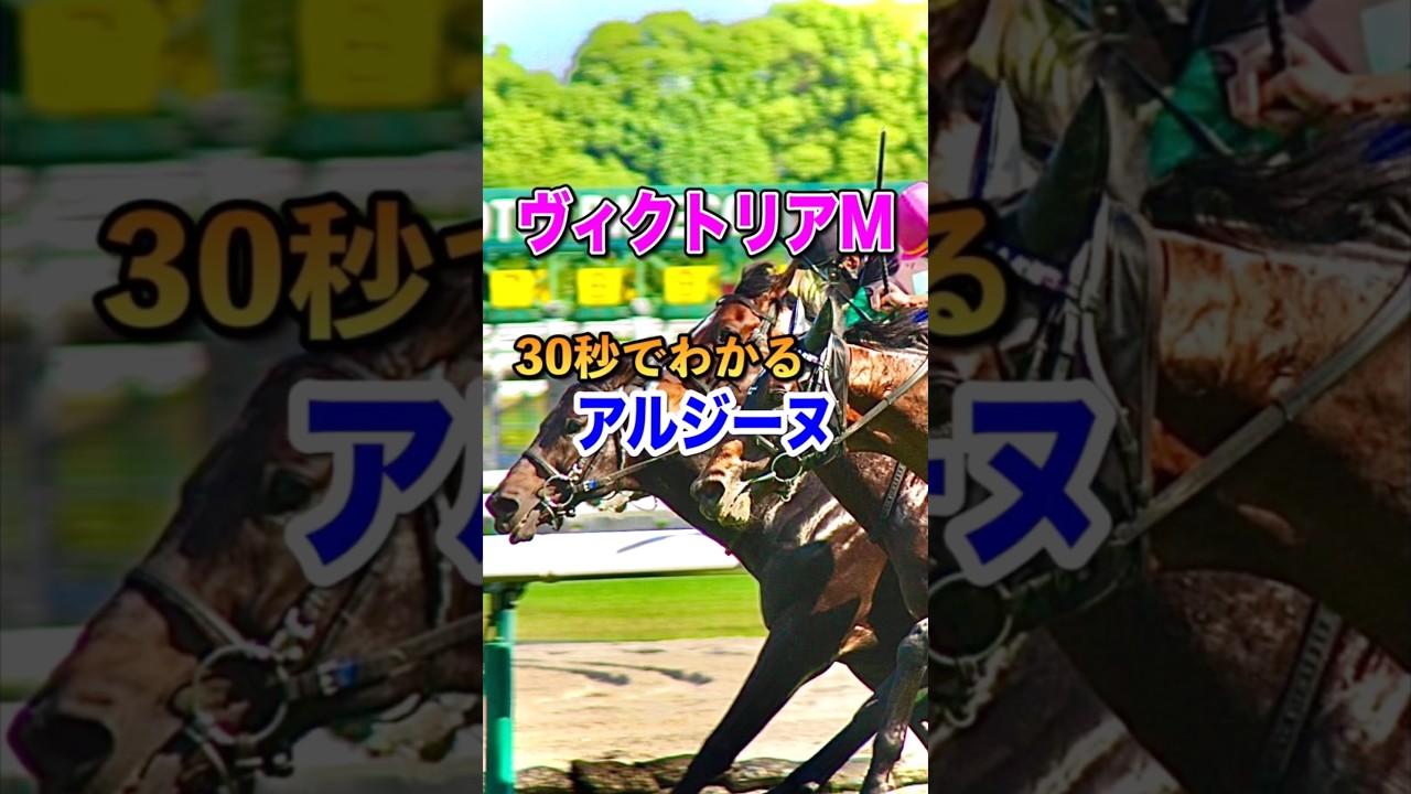 【ヴィクトリアマイル2025】30秒でわかるアルジーヌ