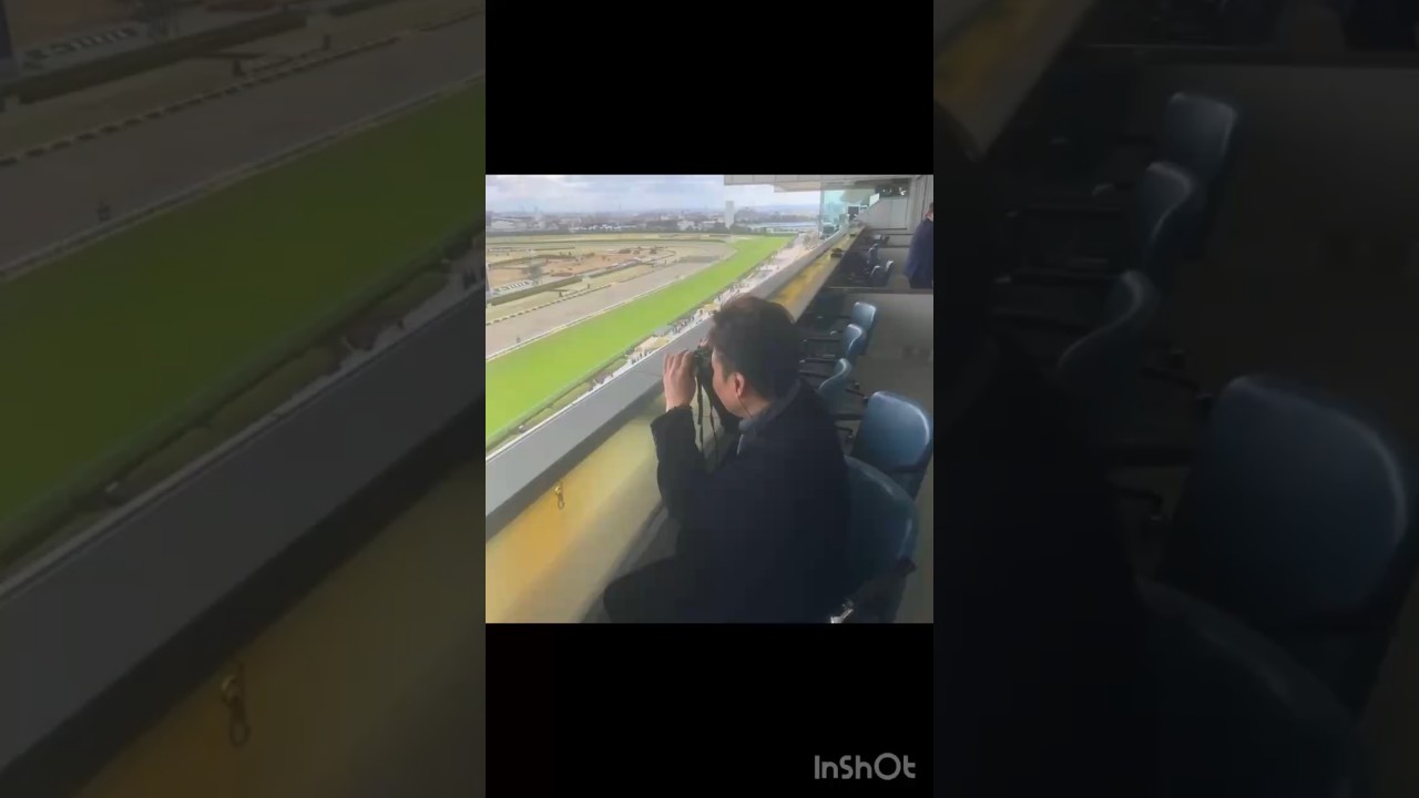 ヴィクトリアマイル（GⅠ）ズバッと◉本命馬