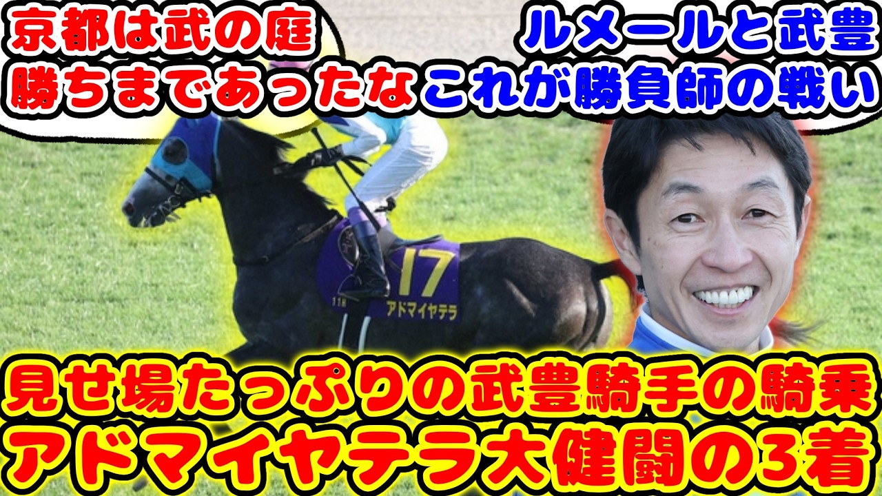 【競馬】菊花賞大健闘の3着 アドマイヤテラ武豊騎手の手綱捌きが話題に！！【競馬の反応集】