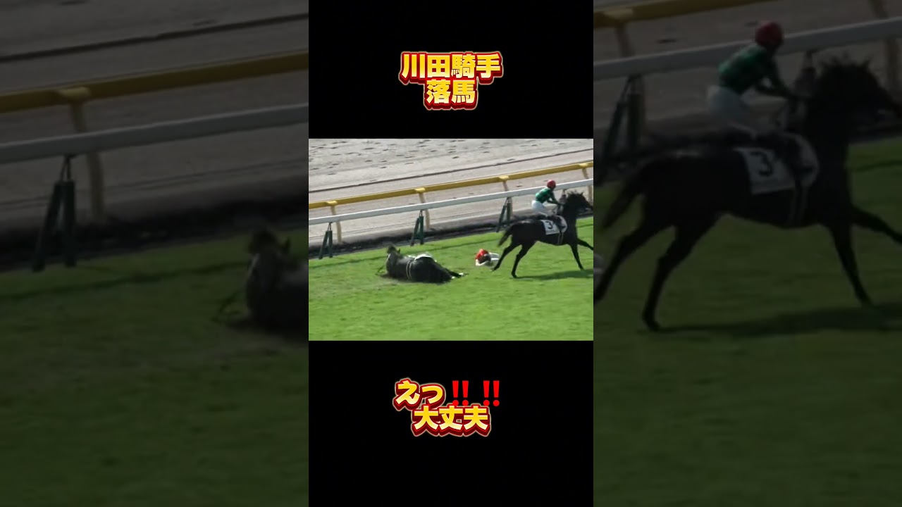 川田騎手落馬の為菊花賞は乗り変わりになりました #川田騎手落馬 #ミラージュナイト