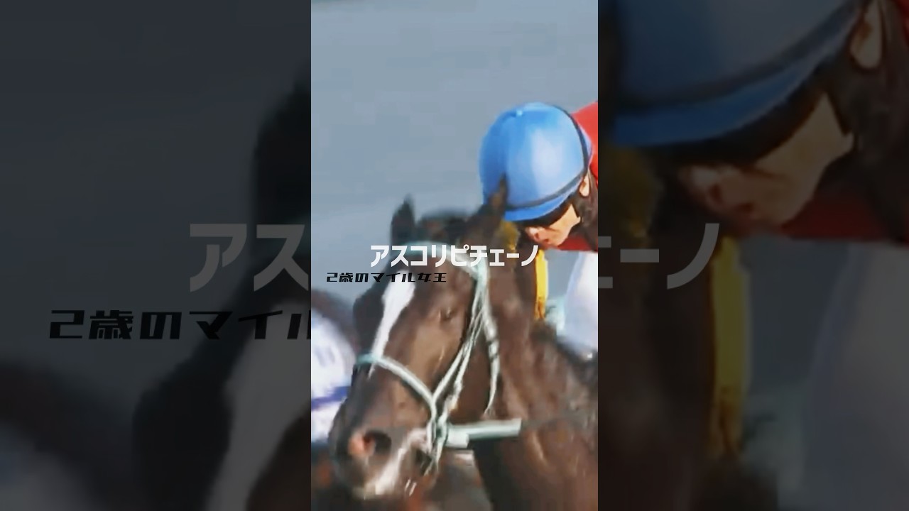 【競馬MAD】ヴィクトリアマイル2025 #競馬 #ヴィクトリアマイル-喧嘩上等／氣志團