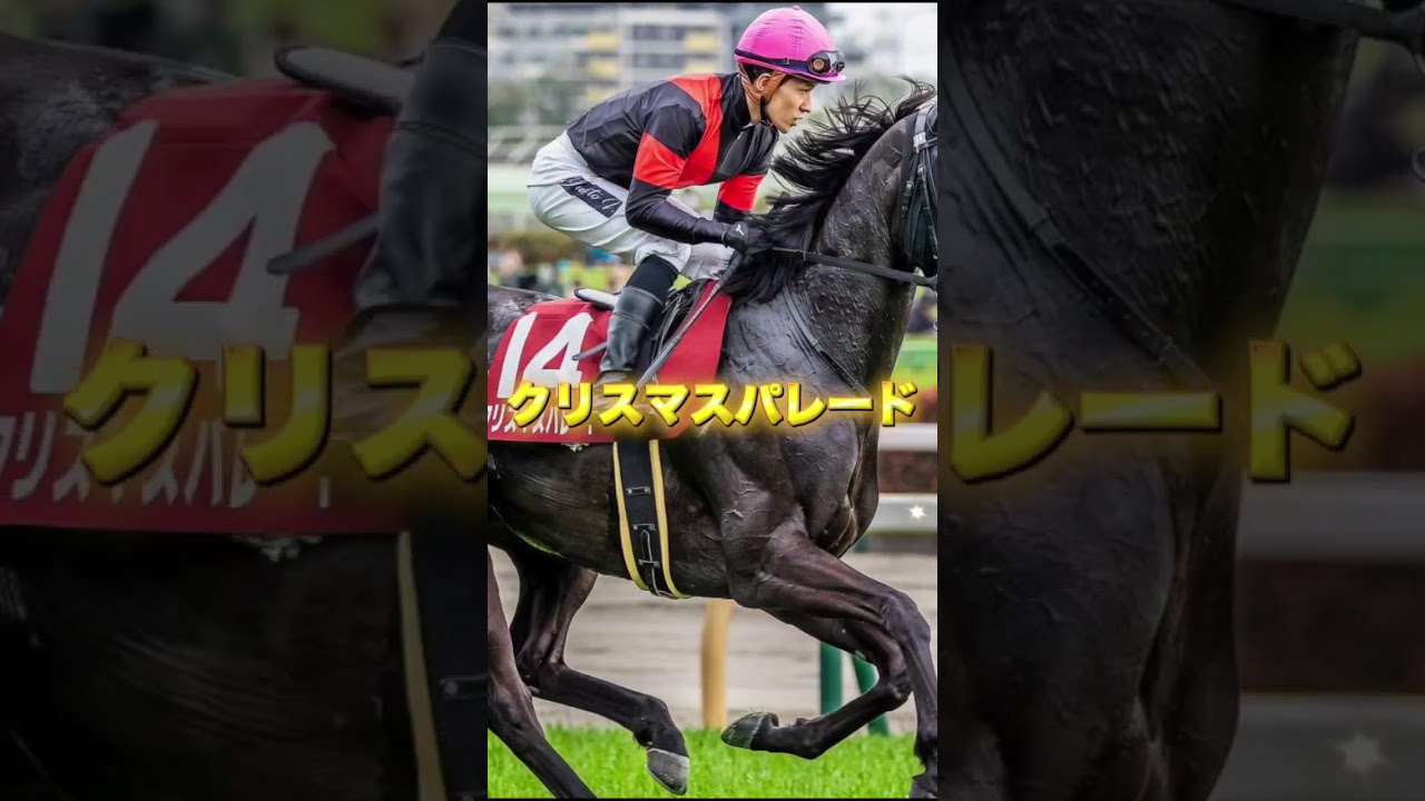G1ヴィクトリアマイルの穴馬3頭を紹介＃競馬＃競馬予想＃ソーダズリング＃クリスマスパレード＃ミアネーロ