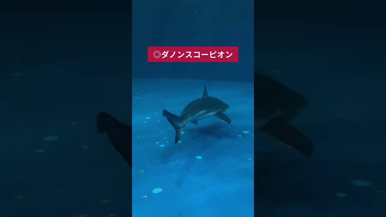 スプリンターズステークス2024