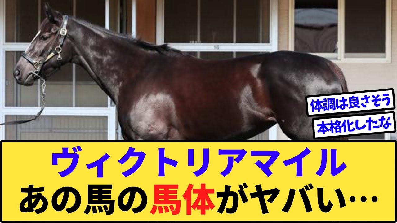 【速報】ヴィクトリアマイル、あの馬の馬体がヤバすぎるwww