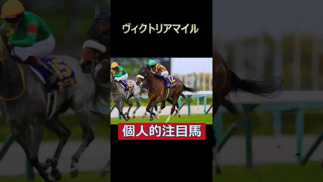 桜の女王復活の時！ステレンボッシュ！ヴィクトリアマイル個人的注目馬！#ヴィクトリアマイル #ステレンボッシュ