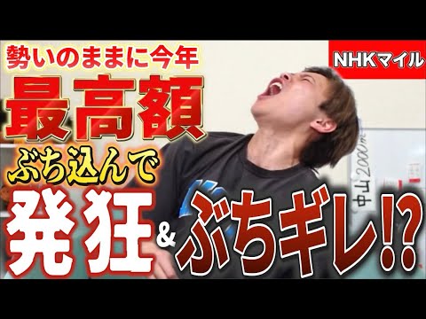 【競馬】NHKマイルカップ大穴に今年最高投資額で勝負！パンジャタワー勝利の展開に発狂にぶちギレ⁉︎ヴィクトリアマイルへ勢いつける