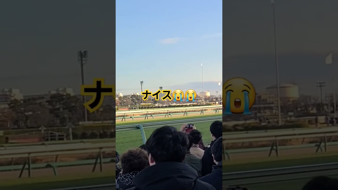 ニシノデイジー中山大障害2度目の優勝！