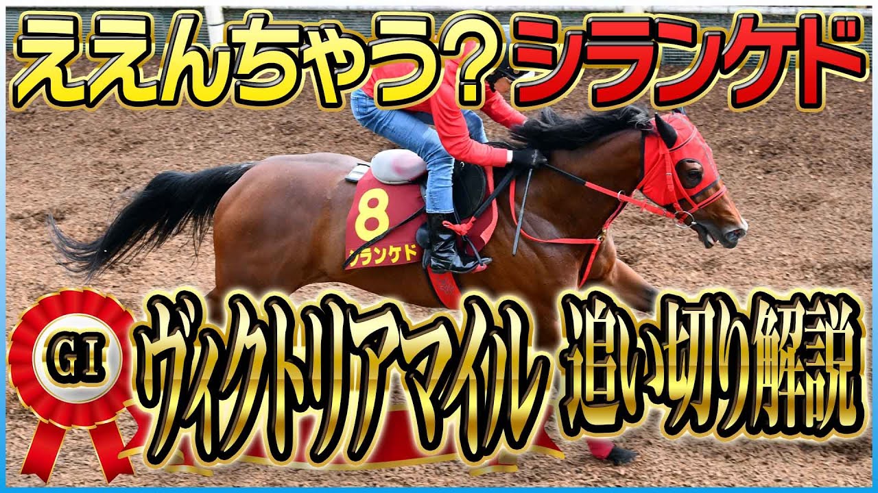 【ヴィクトリアマイル２０２５】各出走馬の追い切りを東西記者が徹底解説！